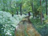 Cow Parsely Lane