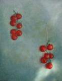 Sun Ripe Tomatoes